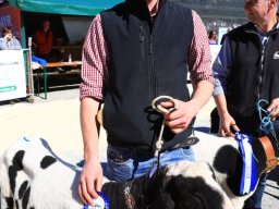 2019_ausstellung polling_441